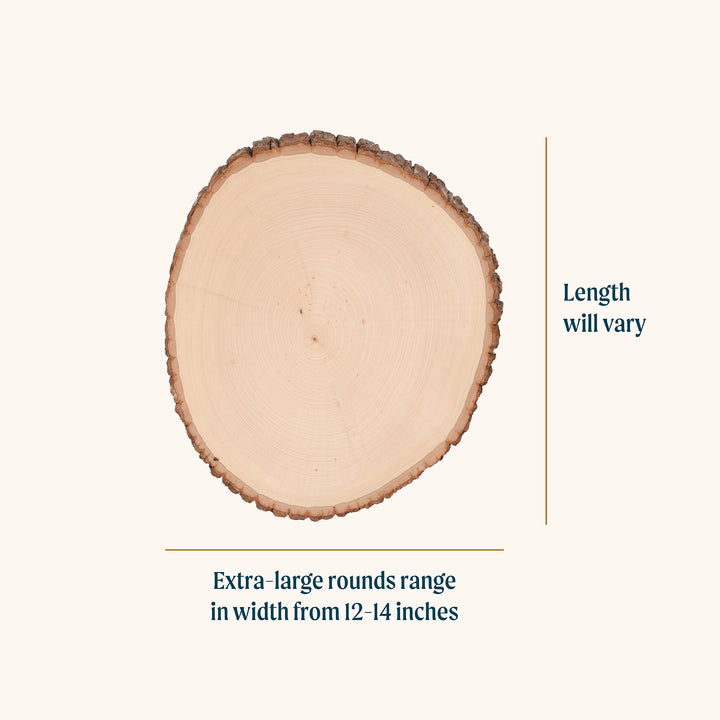 Basswood Round, Extra Large 12-14" Wide