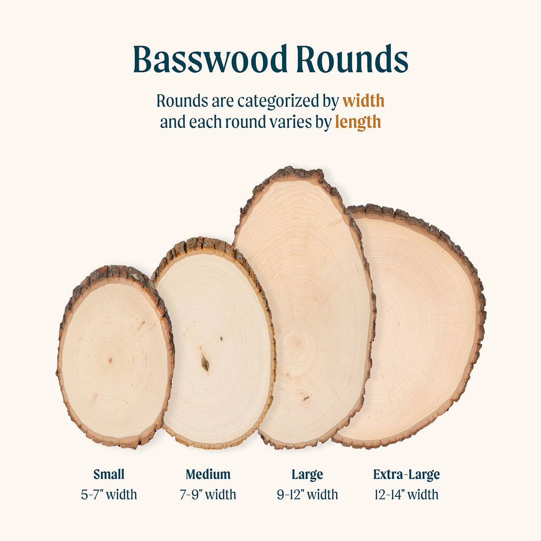 Basswood Round, Small 5-7" Wide