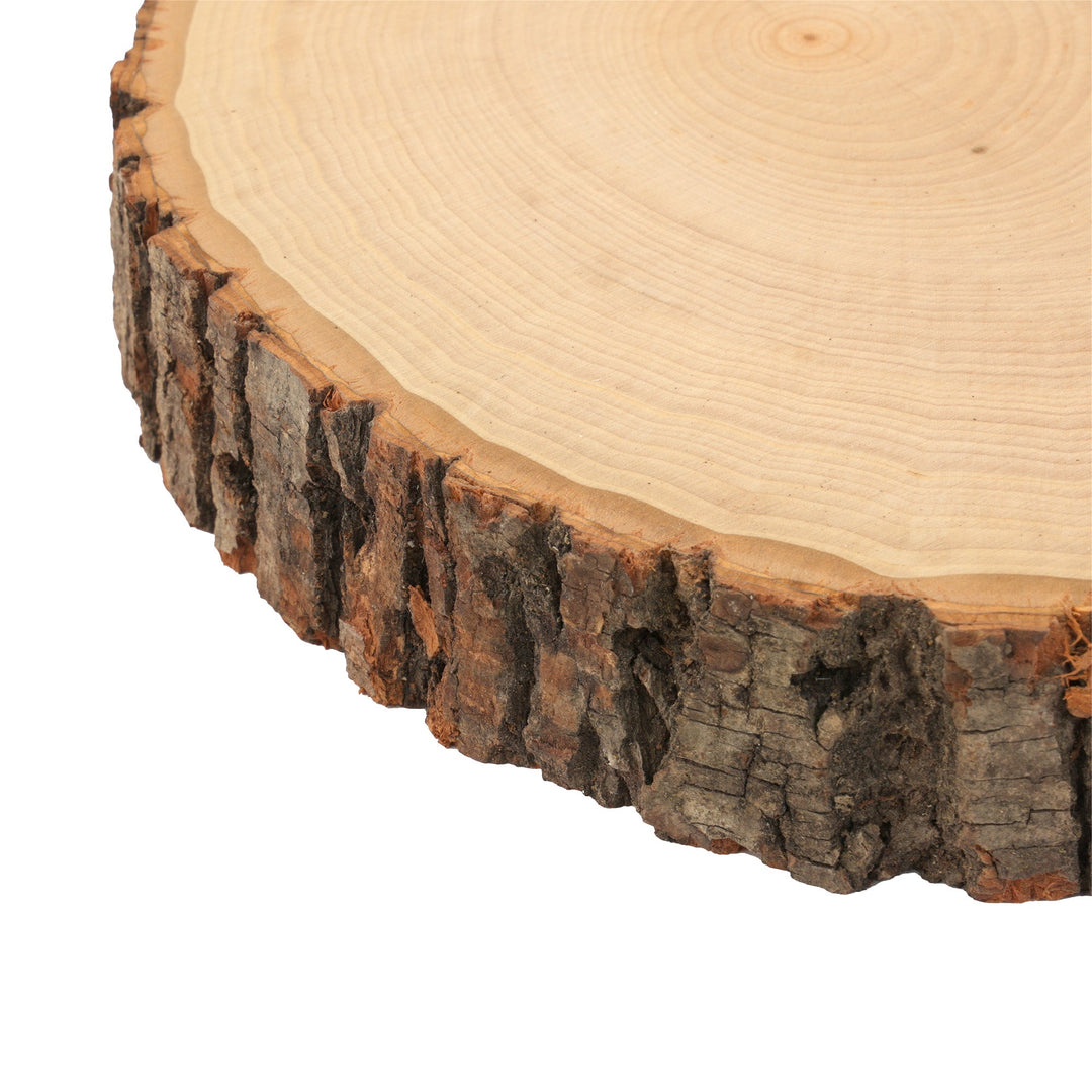 Thick Rustic Basswood Round, 9-11.5" Wide