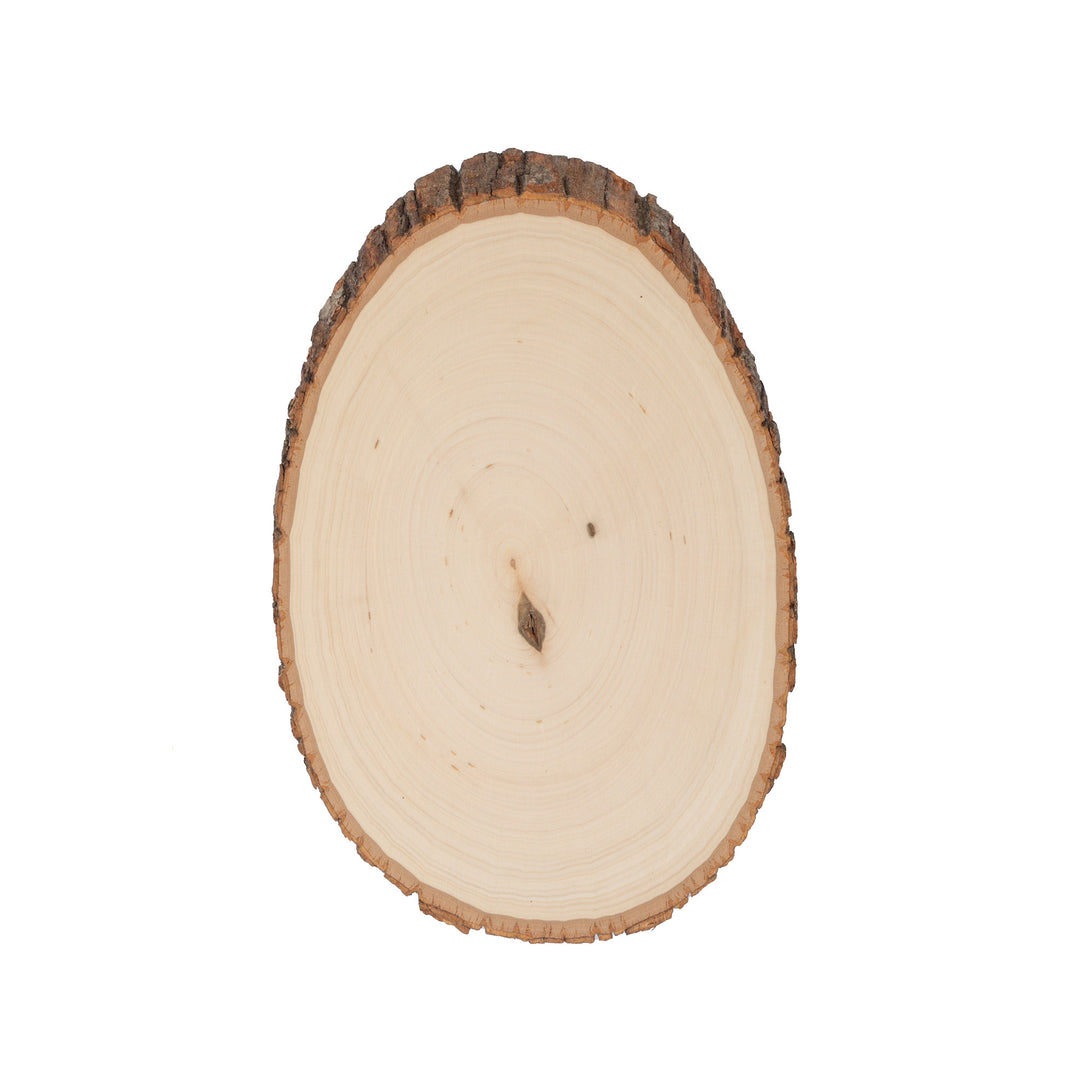 Basswood Round, Medium 7-9" Wide