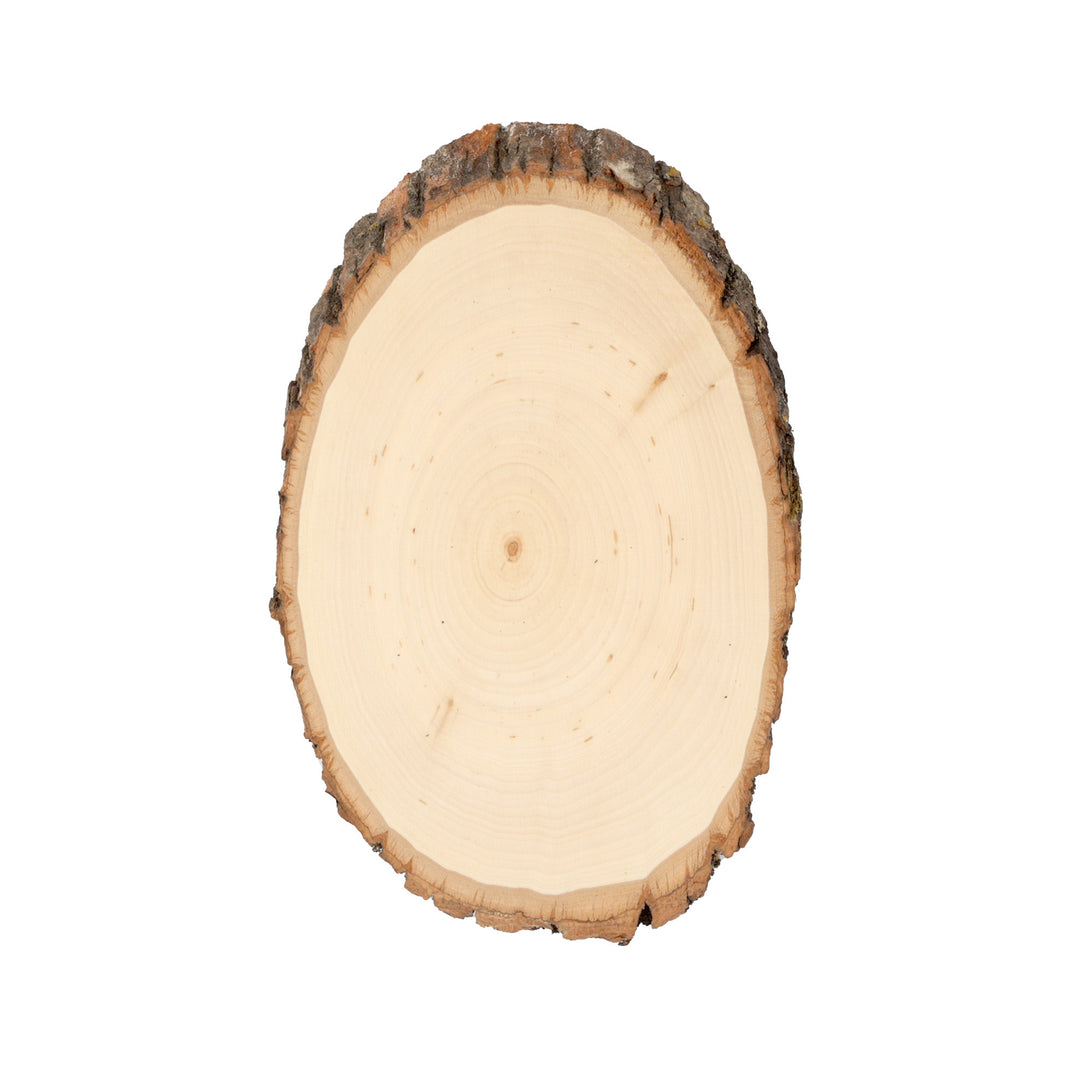 Basswood Round, Small 5-7" Wide