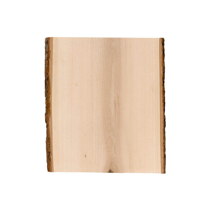 Thick Basswood Plank, 9-11" Wide x 13"