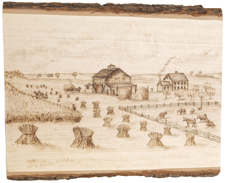 Basswood Plank, 9-11" Wide x 13"