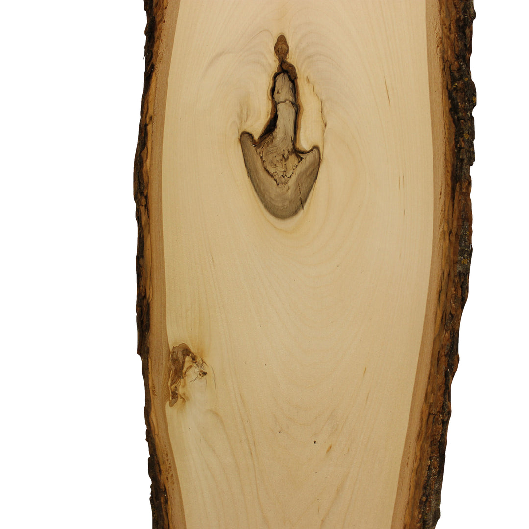 Rustic Basswood Plank, 7-9" Wide x 36"