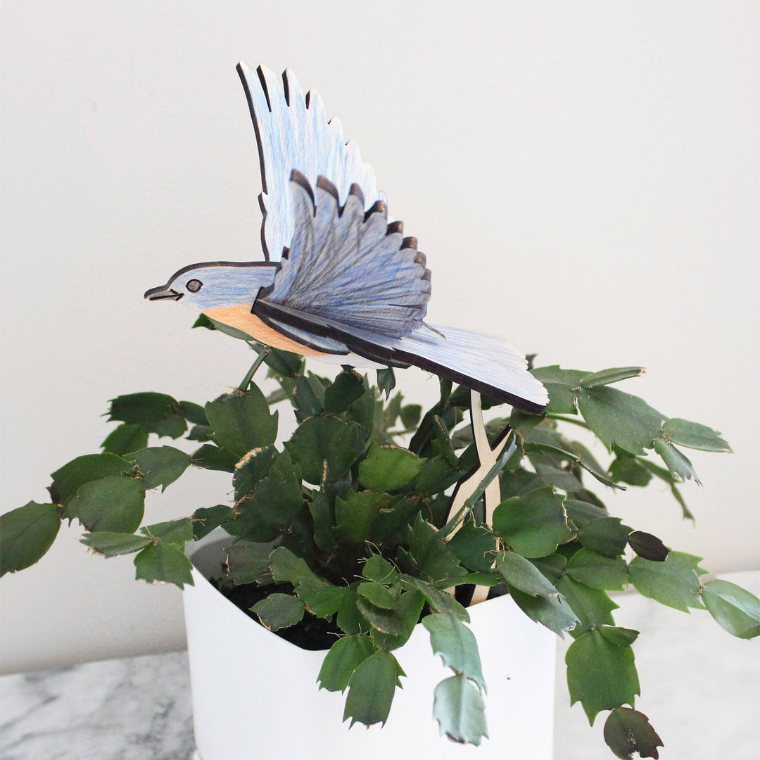 3D Wooden Bird, Bluebird