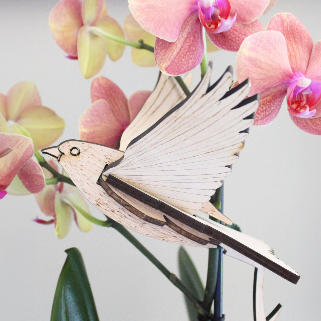 3D Wooden Bird, Finch