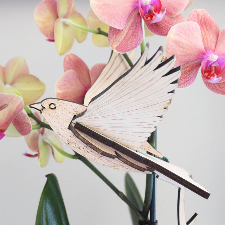 3D Wooden Bird, Finch