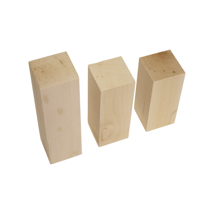 Assorted Basswood Carving Blocks (20-Piece)