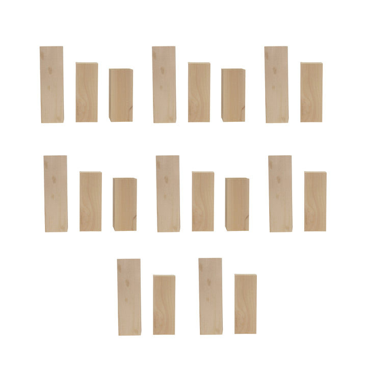 Assorted Basswood Carving Blocks (20-Piece)