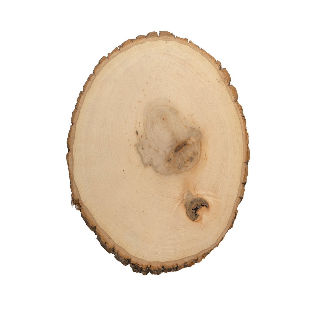 Rustic Basswood Round, Extra Large 12-14" Wide