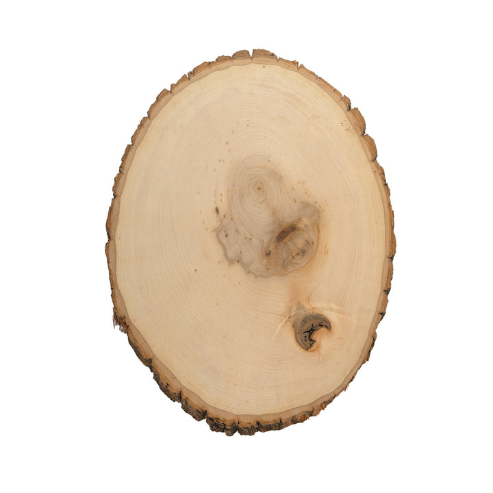 Rustic Basswood Round, Extra Large 12-14" Wide
