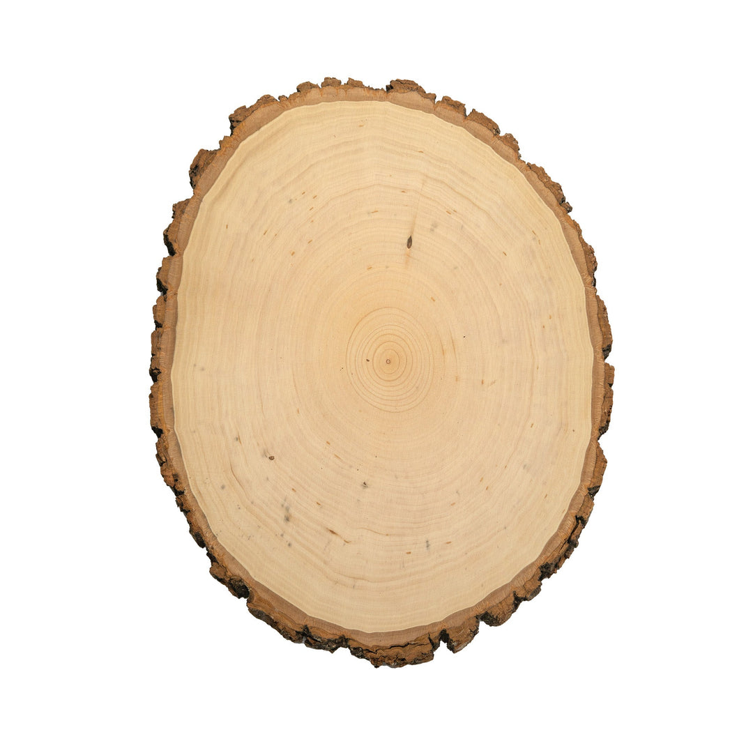 Rustic Basswood Round, Large 9-12" Wide