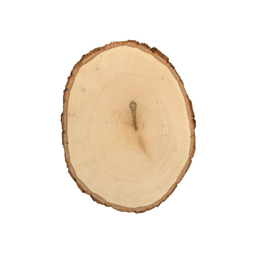 Rustic Basswood Round, Small 5-7" Wide