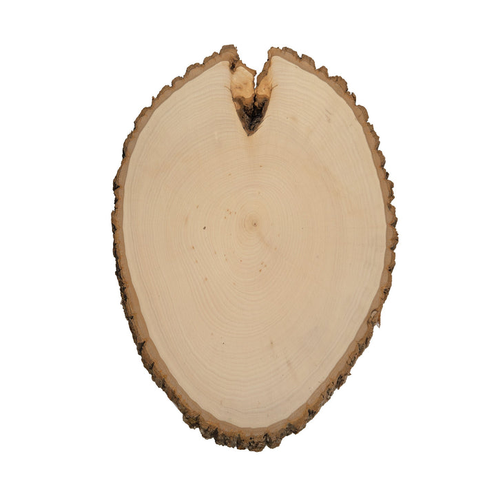 Rustic Basswood Round, Extra Large 12-14" Wide