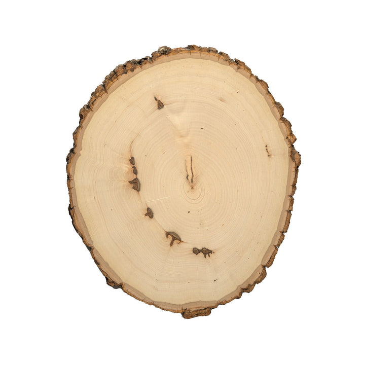 Rustic Basswood Round, Large 9-12" Wide