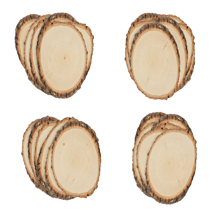 Basswood Round, Small 5-7" Wide