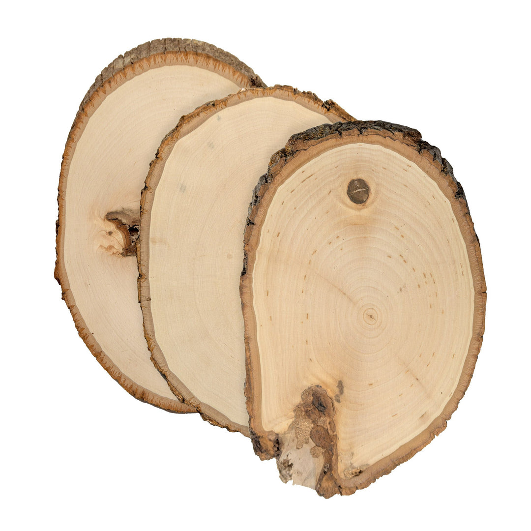 Rustic Basswood Round, Small 5-7" Wide