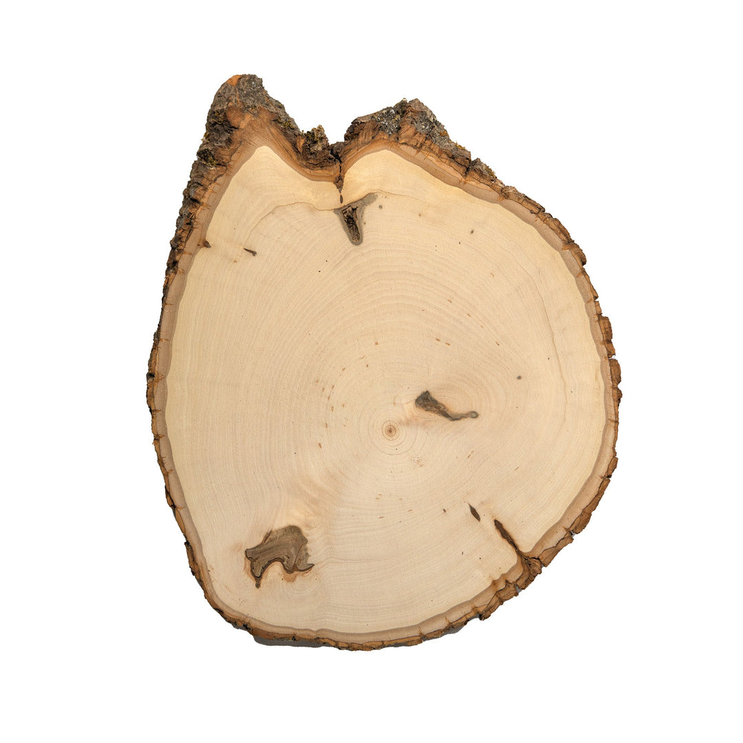 Rustic Basswood Round, Large 9-12" Wide