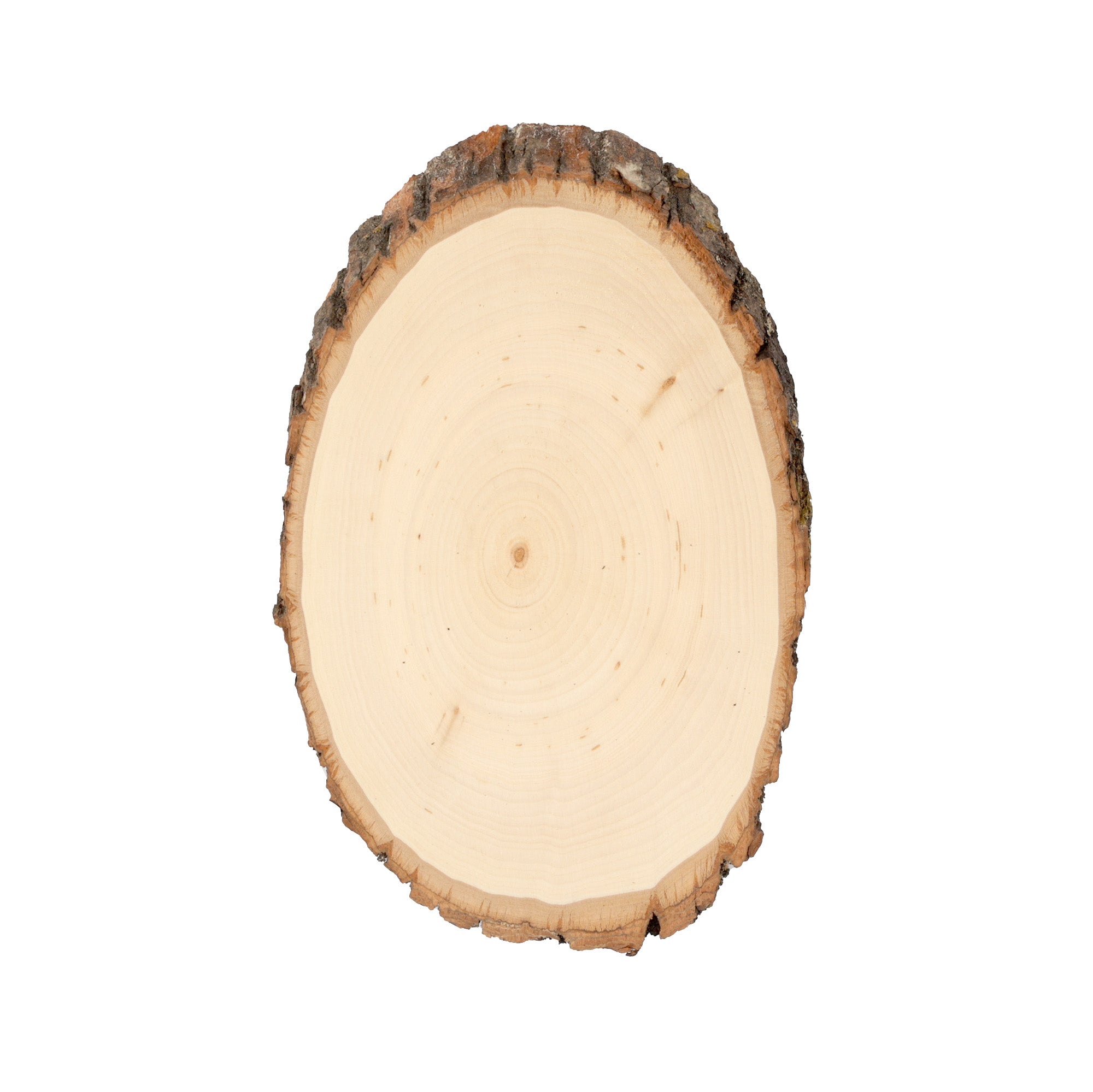 Walnut Hollow Pine Greek Paddle, 7-1/4 in. x 24 in.